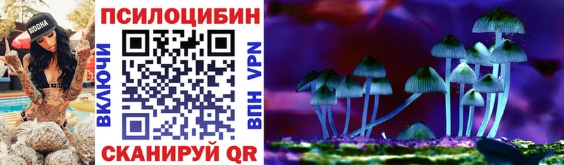 Псилоцибиновые грибы GOLDEN TEACHER  Уржум 